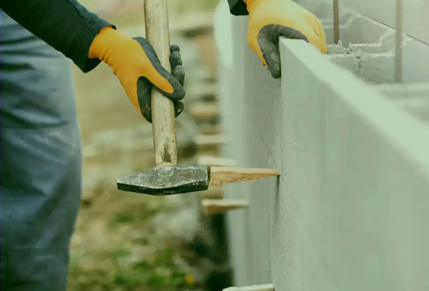 ECONOMIA EM SUA OBRA